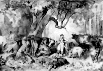 Mein Eintrag ins Gästebuch