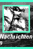 Nachrichten